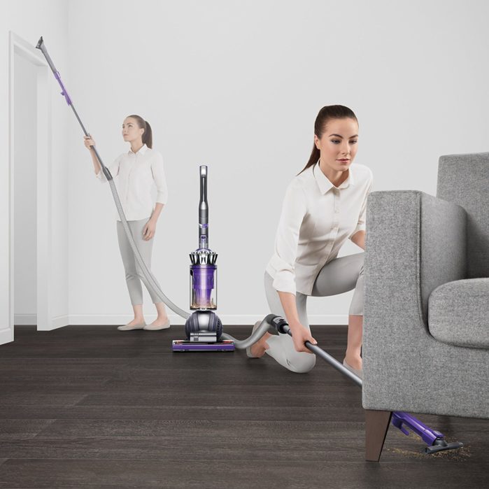 Dyson Ball Animal 2 FAQ, Cleaning Tips, Troubleshooting | Pet My Carpet