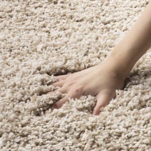 Which Carpets Hide and Show Footprints? A Guide