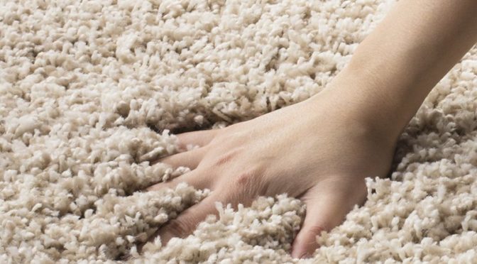 The Pros And Cons Of Frieze Twist Carpets Comparisons Pet My Carpet