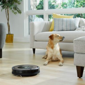 Roomba 890 Review (Pet My Carpet).