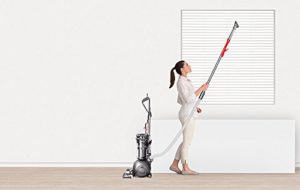 Dyson Cinetic Big Ball Animal+Allergy Review, Upright Comparison