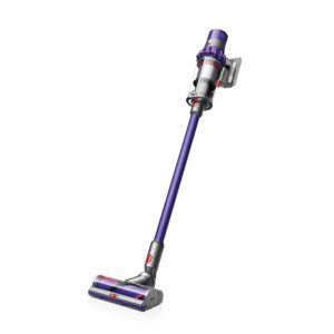 Dyson Cyclone V10 Absolute Review, V10 Animal Comparison