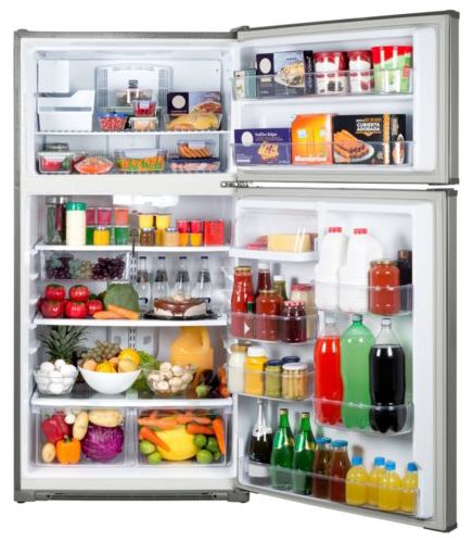 Top Freezer Mount Refrigerators: Pros & Cons | Pet My Carpet